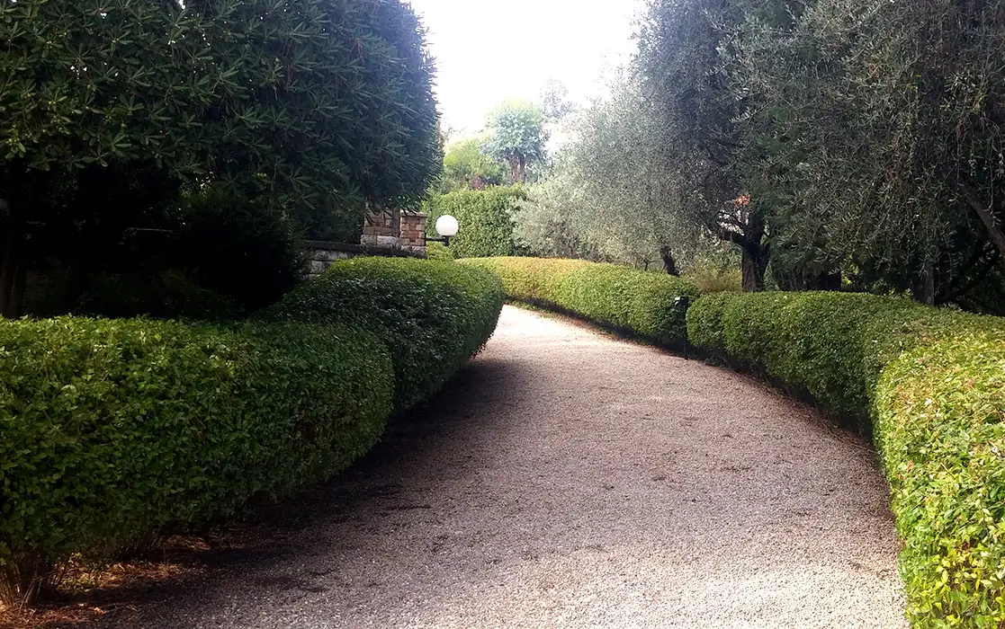 Allée bordée de haies et de massifs dans un jardin aménagé