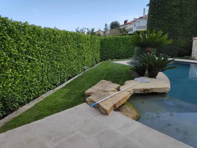 Haie taillée et bordure de gazon le long d’une piscine