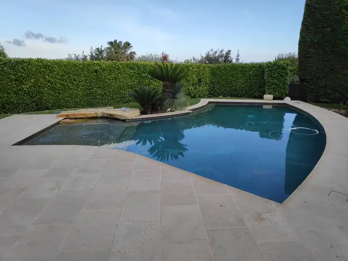Vue d’ensemble des haies et des végétaux entourant une piscine