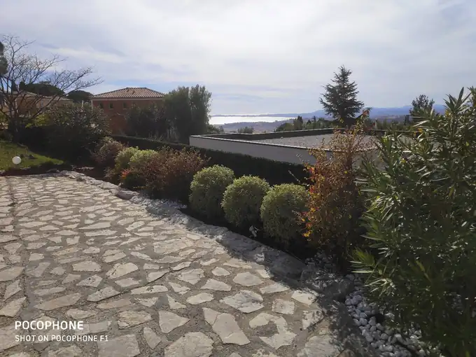 Massif d’arbustes arrondis bordant une terrasse en pierre
