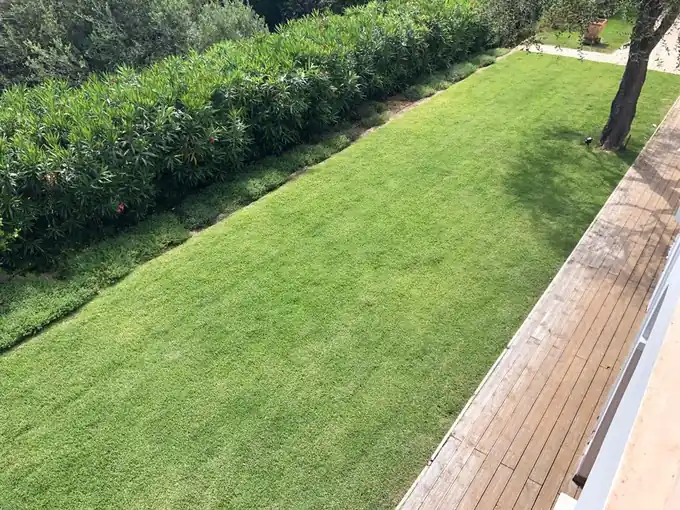 Pelouse bordée d’une haie et d’une terrasse en bois
